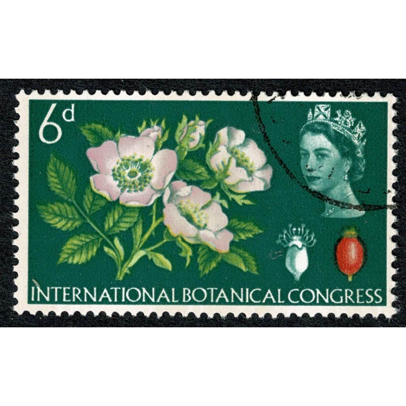 1964 Botanical Congress (phos). 6d single. Fine Used. SG 656p