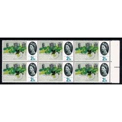 1964 Geog. Congress 2½d (ord). Listed constant variety short line under 2½ SG 651a