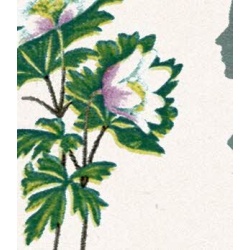 1967 Flowers 4d (ord). Listed variety "small green spot on wood anemone". SG 720 var