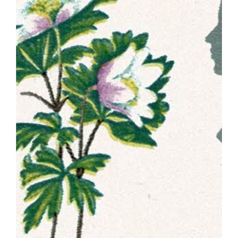 1967 Flowers 4d (ord). Listed variety "small green spot on wood anemone". SG 720 var