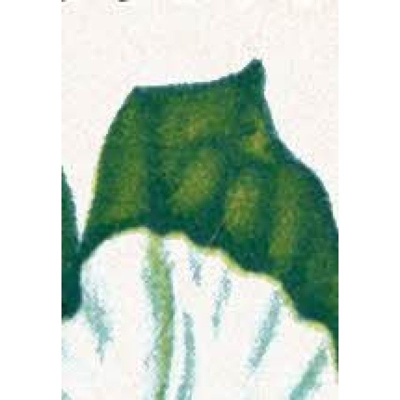 1967 Flowers 4d (phos). Listed variety " green flaw in large leaf above flower" SG 718p var