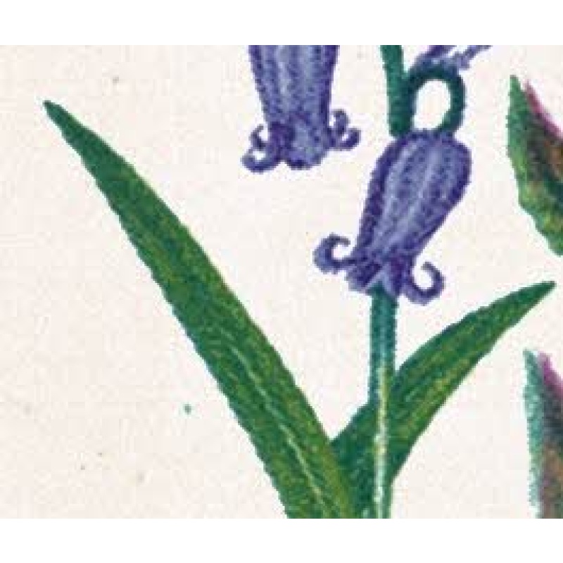 1967 Flowers 4d (phos). Listed variety "small green spot to left of bluebell leaf" SG 720p var