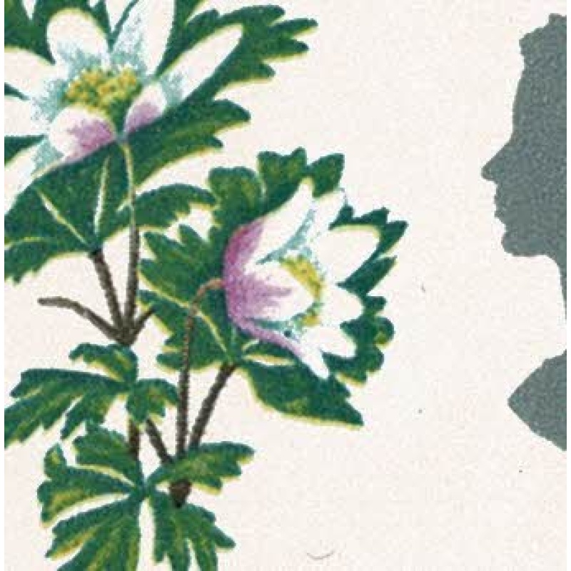 1967 Flowers 4d (phos). Listed variety "small green spot on wood anemone". SG 720p var