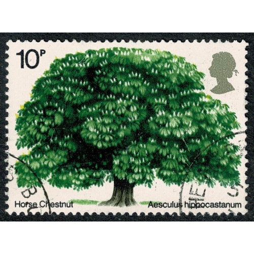 1974 British Trees 10p. Fine used single. SG 949