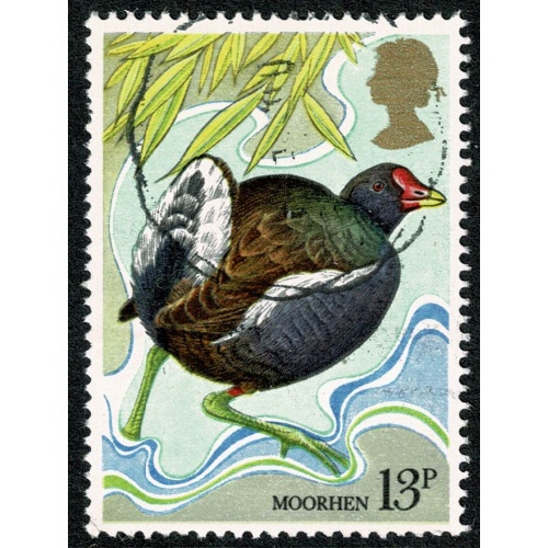 1980 Birds. 13p single. Fine Used. SG 1111