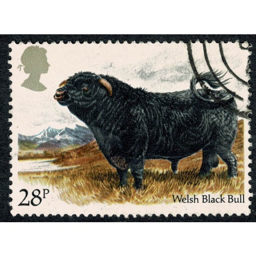 1984 British Cattle 28p. Very Fine Used single. SG 1243