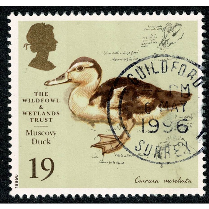 1996 Wildfowl & Wetlands Trust 19p. Fine Used single. SG 1915