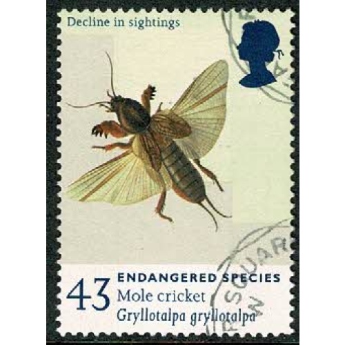 1998 Endangered Species 43p. Very Fine Used single. SG 2019